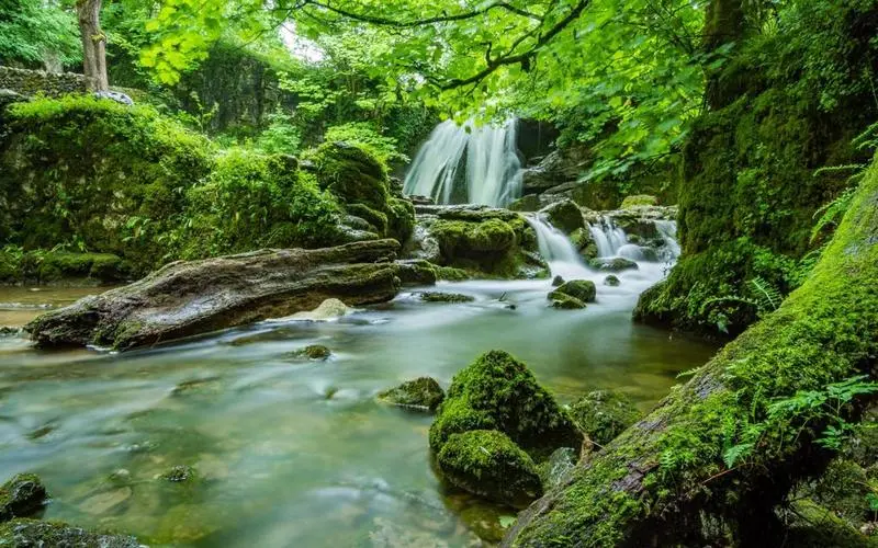 高效科技智能系统
